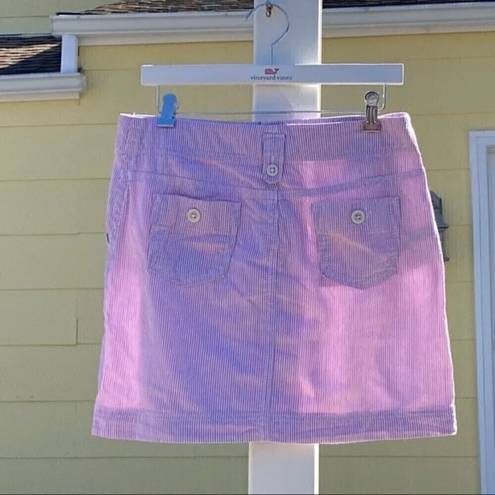 Loft Pink Seersucker Skirt - Picture 14 of 14